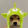 marshyvr67