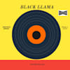 blackllama954