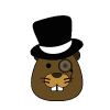 dandybeaver