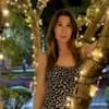 dasha_000
