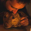 image-docs