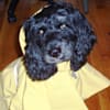 image-docs
