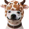 image-docs