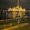 dayle_gray