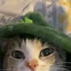 lilmoonrei