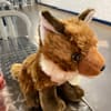 sleepy0fox