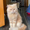 salauddin79