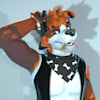 image-docs