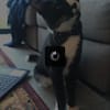 image-docs