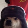 doodksoppro