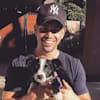 image-docs