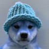 image-docs
