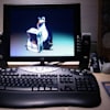 image-docs