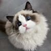image-docs