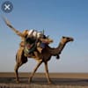 therealnomad