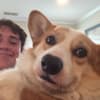 image-docs