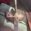 wingsofthesky