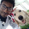 image-docs