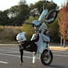 image-docs