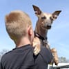 image-docs