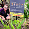 image-docs