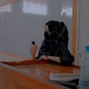 image-docs
