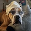 image-docs