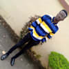 image-docs
