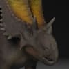 kylegray274