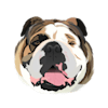 image-docs