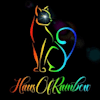 hausofrainbow