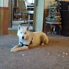 image-docs