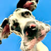 image-docs