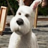 image-docs