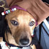 image-docs