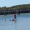 mirrabooka