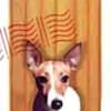 image-docs