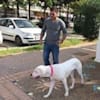 image-docs