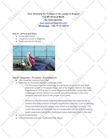 Worksample image