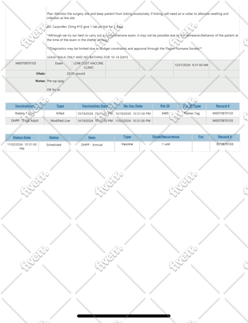 Worksample image