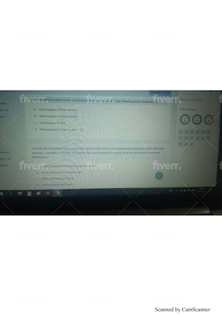 Imagen de muestra de trabajo
