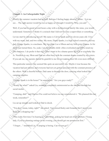 Worksample image