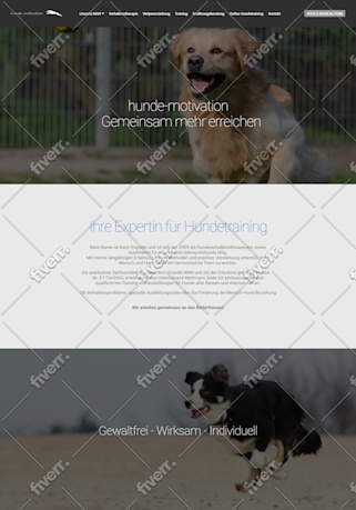 Worksample image
