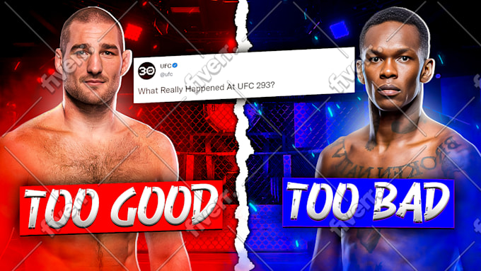 Immagine del campione di lavoro