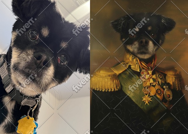 Imagem de amostra