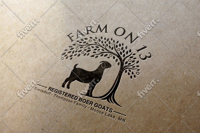 Immagine del campione di lavoro