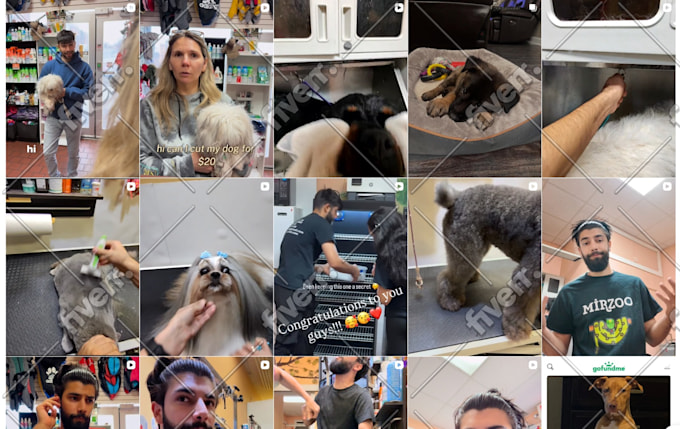 Immagine del campione di lavoro