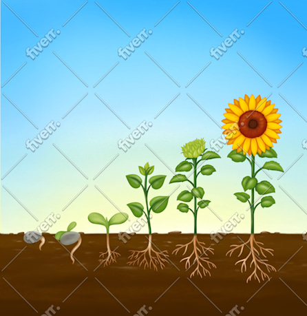 Bild des Arbeitsbeispiels