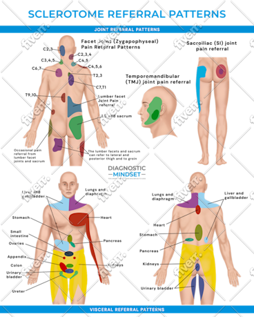 Imagen de muestra de trabajo
