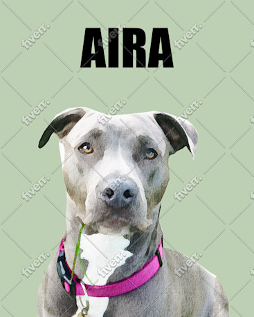 Imagem de amostra